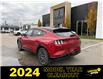 2024 Ford Mustang Mach-E Premium (Stk: VFME00258) in Chatham - Image 2 of 22