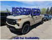 2023 Chevrolet Silverado 1500 Custom Trail Boss (Stk: 42549J) in Belleville - Image 1 of 3