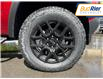 2024 Chevrolet Colorado Trail Boss (Stk: R1198002) in Paisley - Image 10 of 21