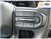 2024 Chevrolet Colorado Trail Boss (Stk: R1198002) in Paisley - Image 19 of 21