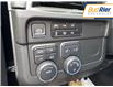2025 Chevrolet Tahoe LS (Stk: SR138413) in Paisley - Image 18 of 21