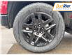 2025 Chevrolet Silverado 1500 LT Trail Boss (Stk: SG240181) in Paisley - Image 10 of 18