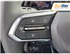 2025 Chevrolet Tahoe LS (Stk: SR190285) in Paisley - Image 20 of 20