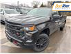 2025 Chevrolet Silverado 1500 Custom Trail Boss (Stk: SG215151) in Paisley - Image 1 of 19