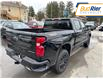 2025 Chevrolet Silverado 1500 Custom Trail Boss (Stk: SG215151) in Paisley - Image 4 of 19