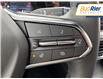 2025 Chevrolet Tahoe Premier (Stk: SR174339) in Paisley - Image 19 of 24