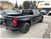 2025 Chevrolet Silverado 1500 RST (Stk: SZ249841) in Paisley - Image 4 of 23