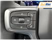 2025 Chevrolet Silverado 1500 RST (Stk: SZ249841) in Paisley - Image 18 of 23