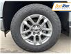 2025 Chevrolet Silverado 1500 RST (Stk: SZ247519) in Paisley - Image 9 of 21