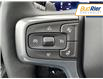 2025 Chevrolet Silverado 1500 RST (Stk: SZ247519) in Paisley - Image 17 of 21