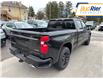 2025 Chevrolet Silverado 1500 RST (Stk: SZ246091) in Paisley - Image 4 of 19
