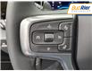2025 Chevrolet Silverado 1500 RST (Stk: SZ246091) in Paisley - Image 17 of 19