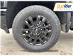 2025 Chevrolet Silverado 2500HD LT (Stk: S1198274) in Paisley - Image 10 of 15