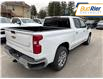2025 Chevrolet Silverado 1500 LTZ (Stk: S1185851) in Paisley - Image 4 of 18