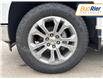 2025 Chevrolet Silverado 1500 LTZ (Stk: S1185851) in Paisley - Image 9 of 18