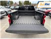 2025 Chevrolet Silverado 1500 LT Trail Boss (Stk: SG239142) in Paisley - Image 6 of 19