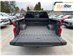 2025 Chevrolet Silverado 1500 LT Trail Boss (Stk: SG254352) in Paisley - Image 6 of 20