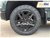 2025 Chevrolet Silverado 1500 LT Trail Boss (Stk: SG254352) in Paisley - Image 10 of 20