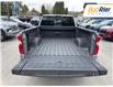 2025 Chevrolet Silverado 1500 RST (Stk: SZ248166) in Paisley - Image 6 of 20