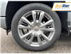 2025 Chevrolet Silverado 1500 High Country (Stk: S1201335) in Paisley - Image 9 of 17