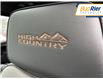 2025 Chevrolet Silverado 1500 High Country (Stk: S1201335) in Paisley - Image 14 of 17