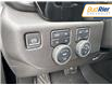 2025 Chevrolet Silverado 1500 LT Trail Boss (Stk: SG193957) in Paisley - Image 18 of 20