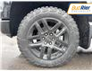 2025 Chevrolet Silverado 1500 LT Trail Boss (Stk: SG193957) in Paisley - Image 10 of 20