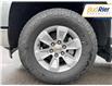 2025 Chevrolet Silverado 1500 Work Truck (Stk: SG268249) in Paisley - Image 9 of 16