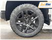 2025 Chevrolet Silverado 1500 LT Trail Boss (Stk: SG188386) in Paisley - Image 9 of 19
