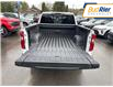 2025 Chevrolet Silverado 1500 LT Trail Boss (Stk: SG188386) in Paisley - Image 6 of 19