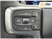 2025 Chevrolet Silverado 1500 LT Trail Boss (Stk: SG188386) in Paisley - Image 16 of 19