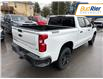 2025 Chevrolet Silverado 1500 LT Trail Boss (Stk: SG188386) in Paisley - Image 4 of 19