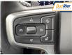 2023 Chevrolet Silverado 1500 RST (Stk: PZ166731) in Paisley - Image 18 of 19