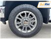 2025 Chevrolet Silverado 2500HD LTZ (Stk: SF291133) in Paisley - Image 10 of 19
