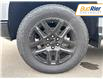2025 Chevrolet Silverado 1500 LT Trail Boss (Stk: SG316040) in Paisley - Image 10 of 21