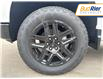 2025 Chevrolet Silverado 1500 LT Trail Boss (Stk: SG319557) in Paisley - Image 10 of 19