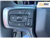 2025 Chevrolet Silverado 1500 RST (Stk: SG316114) in Paisley - Image 18 of 20