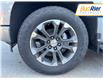 2025 Chevrolet Silverado 1500 High Country (Stk: S1208924) in Paisley - Image 12 of 31
