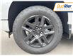 2025 Chevrolet Silverado 1500 RST (Stk: S1206054) in Paisley - Image 9 of 19