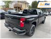 2025 Chevrolet Silverado 1500 LT Trail Boss (Stk: SG279638) in Paisley - Image 4 of 17