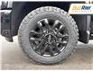 2025 Chevrolet Silverado 3500HD High Country (Stk: S1208222) in Paisley - Image 10 of 10