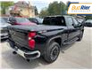 2024 Chevrolet Silverado 2500HD LT (Stk: R1173063) in Paisley - Image 4 of 22