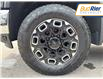 2024 Chevrolet Silverado 2500HD LT (Stk: R1173063) in Paisley - Image 10 of 22