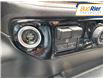2024 Chevrolet Silverado 2500HD LT (Stk: R1173063) in Paisley - Image 17 of 22