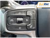 2024 Chevrolet Silverado 2500HD LT (Stk: R1173063) in Paisley - Image 19 of 22