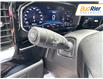 2024 Chevrolet Silverado 2500HD LT (Stk: R1173063) in Paisley - Image 20 of 22