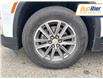 2023 Chevrolet Traverse LT Cloth in Paisley - Image 11 of 13