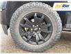 2021 Chevrolet Colorado Z71 in Paisley - Image 7 of 15