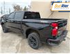 2023 Chevrolet Silverado 1500 Custom Trail Boss in Paisley - Image 6 of 12