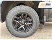 2023 Chevrolet Silverado 1500 Custom Trail Boss in Paisley - Image 9 of 12